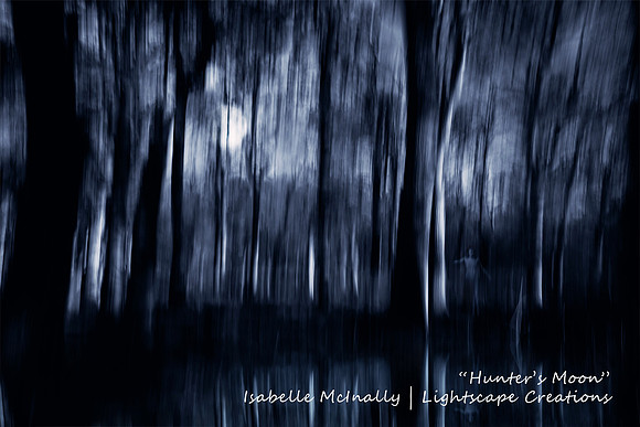Impressionist photograph inspired by Kinclaven Wood