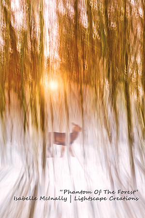 Impressionist photograph inspired by the Den O' Alyth