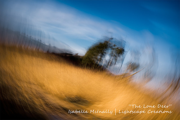Impressionist photograph inspired by Loch Kinnody with a lone deer